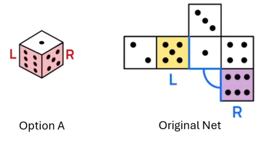 Option A versus the original net showing the left–right swap