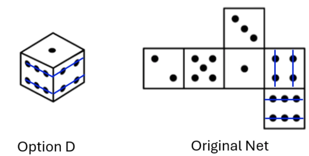 Option D versus the original net showing the dot-row orientation mismatch