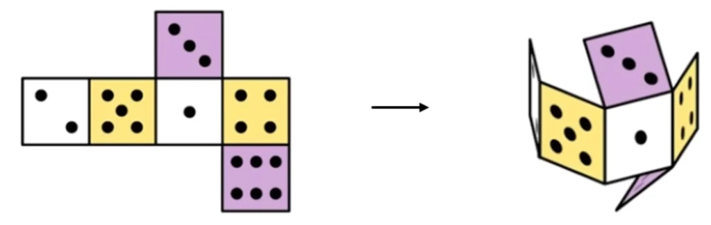 Coloured net folding into a cube showing opposite-face pairs