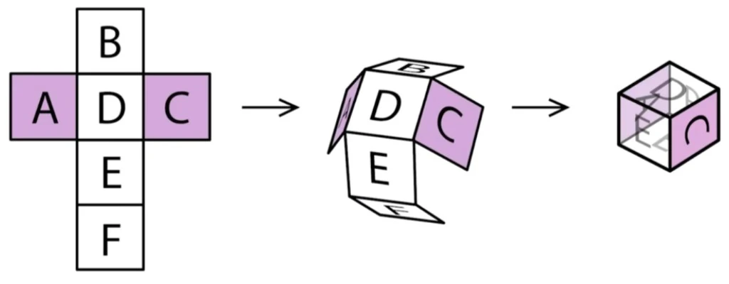 Generic cross-net labelled A–F with a folding sequence showing which faces become opposite: A↔C, B↔E, D↔F