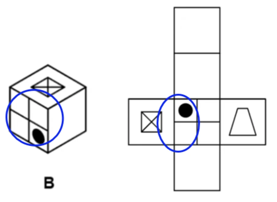 Option B circled next to the net: the black circle in option B is further from the square-with-cross, but on the net the black circle is closer to it