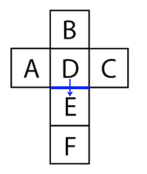How D meets E along the shared edge in the net